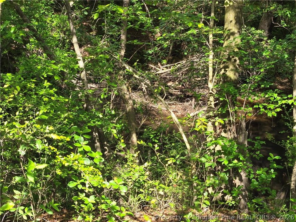 TBD Cabins Creek Road, Vass, NC 28394 — photo 5
