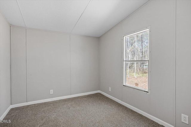 124 Decoy Drive, Pikeville, NC 27863
