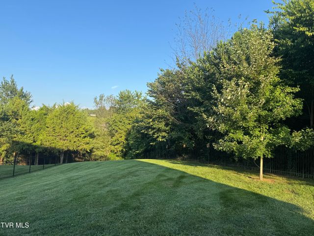 1276 Savin Falls, Johnson City, TN 37615