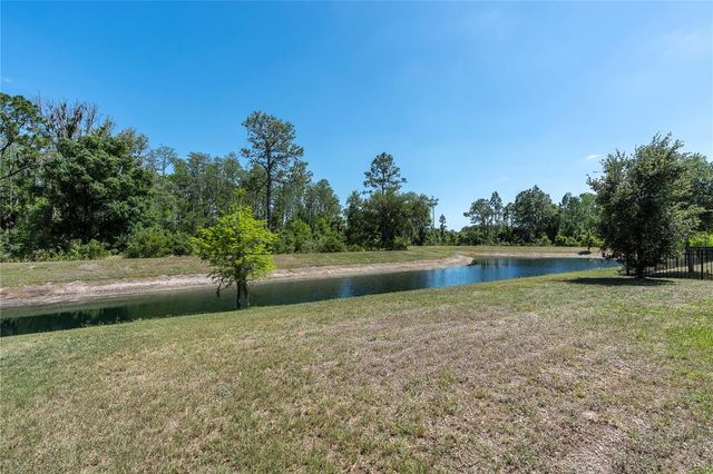 3940 WOODS RIDER LOOP, Odessa, FL 33556