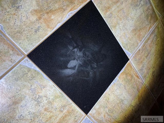 4070 Southgate, Island Park, ID 83429