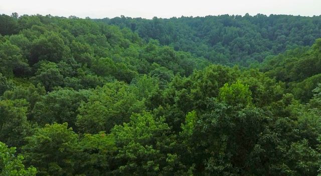 0 Woodcrest Dr, Smithville, TN 37166