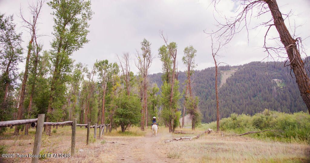 14175 DRAKE DRIVE, Jackson, WY 83001 photo 30