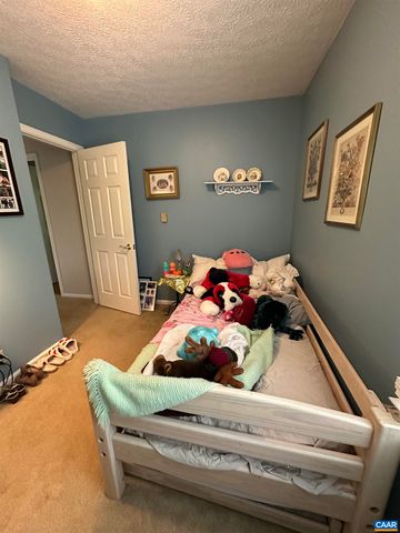 604 COLES ROLLING RD, Scottsville, VA 24590