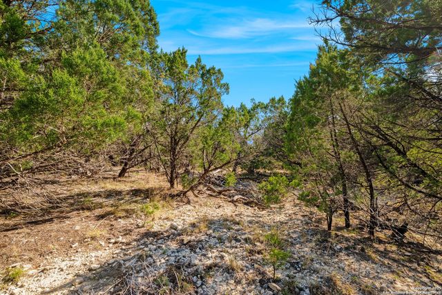 23625 Up Mountain Trail, San Antonio, TX 78255
