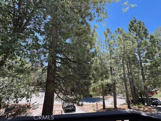 658 Dahlia Drive, Green Valley Lake, CA 92341