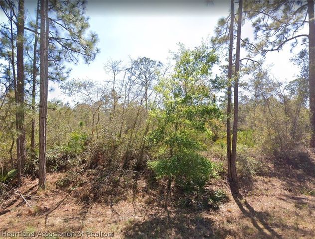 3130 Frances Avenue, Lake Placid, FL 33852