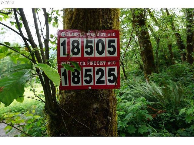 0 Ne Buncombe Hollow Rd, Woodland, WA 98674