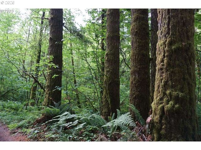 0 Ne Buncombe Hollow Rd, Woodland, WA 98674