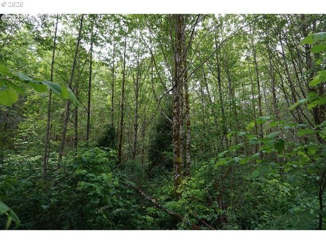 0 Ne Buncombe Hollow Rd, Woodland, WA 98674