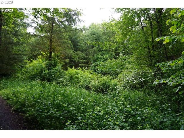 0 Ne Buncombe Hollow Rd, Woodland, WA 98674