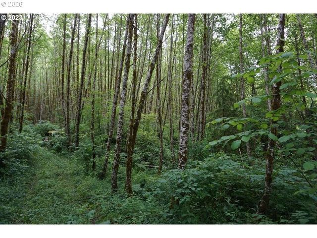 0 Ne Buncombe Hollow Rd, Woodland, WA 98674