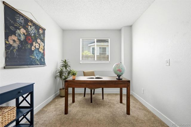 11517 Wray Court, Parker, CO 80134