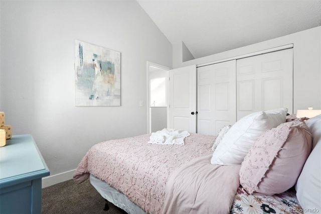 11517 Wray Court, Parker, CO 80134