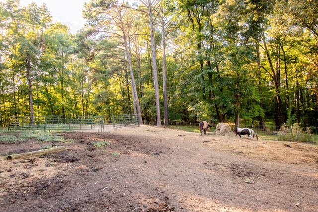 290 Potts Road, Ringgold, GA 30736