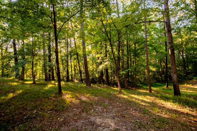 290 Potts Road, Ringgold, GA 30736