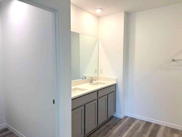 32893 OSPREY PEAK WAY, San Antonio, FL 33576