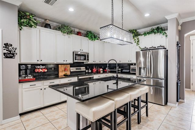 14640 BALLOCH DRIVE, Hudson, FL 34667