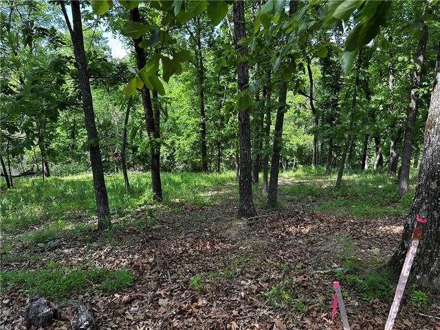 Lot 100 E Robin Road, Rogers, AR 72756