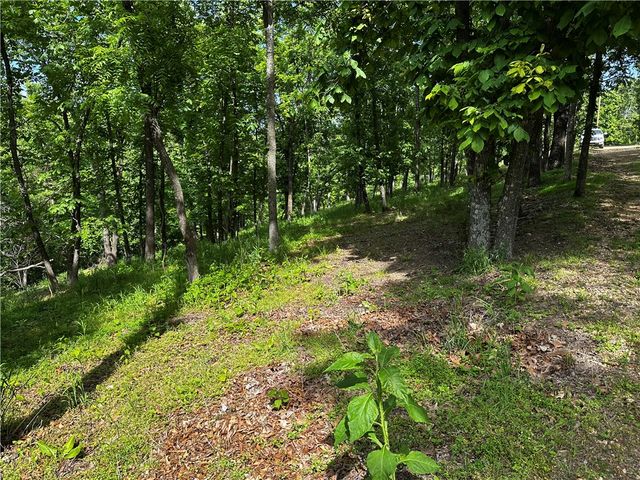 Lot 100 E Robin Road, Rogers, AR 72756