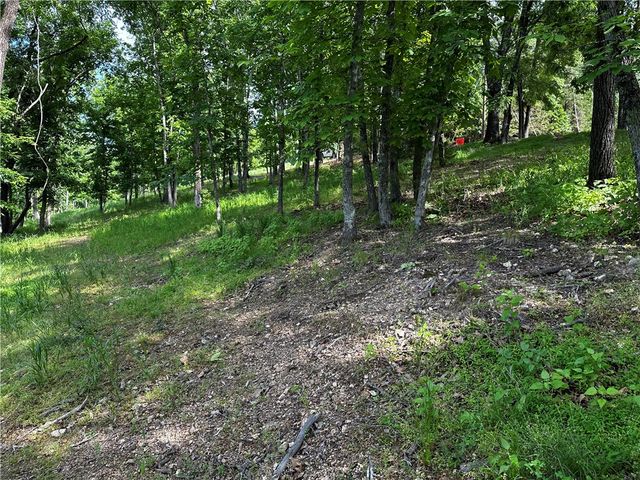 Lot 100 E Robin Road, Rogers, AR 72756