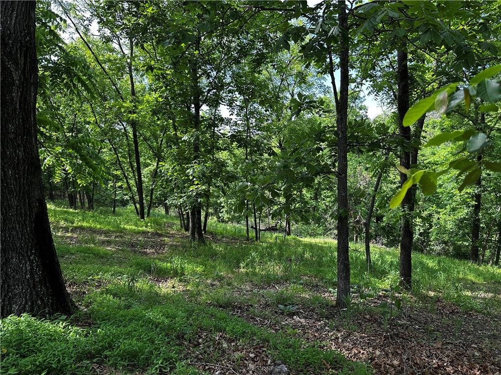 Lot 100 E Robin Road, Rogers, AR 72756