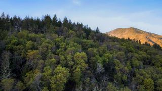 373 Savage Creek Road, Grants Pass, OR 97527
