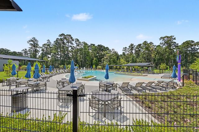 40037 Belted Kingfisher Court, Magnolia, TX 77354