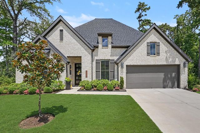 40037 Belted Kingfisher Court, Magnolia, TX 77354