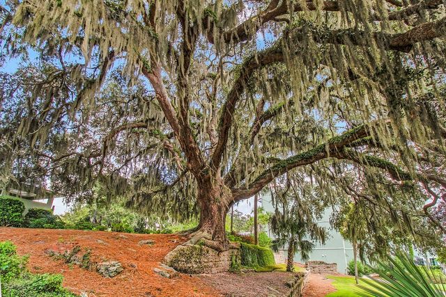 91 Screven Street Bldg D Unit 309, Darien, GA 31305