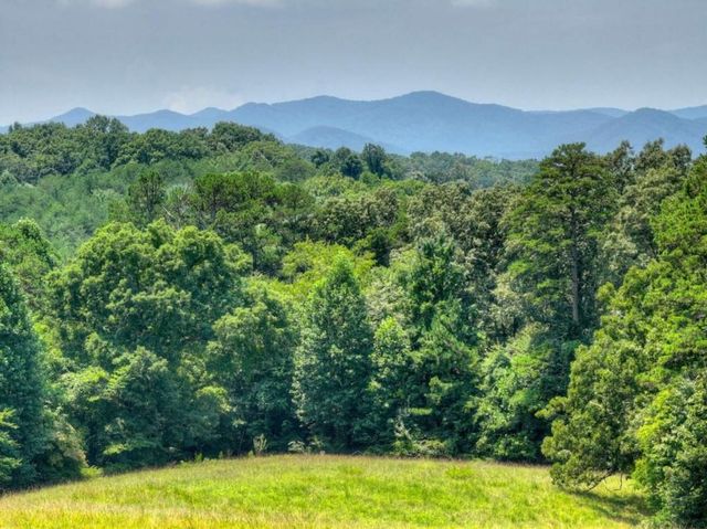 210 Lavista Drive, Blue Ridge, GA 30513