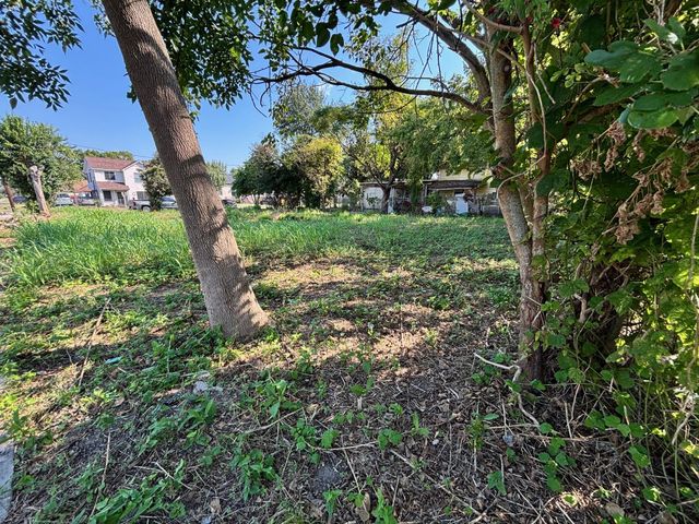 3207 Wipprecht Street, Houston, TX 77026