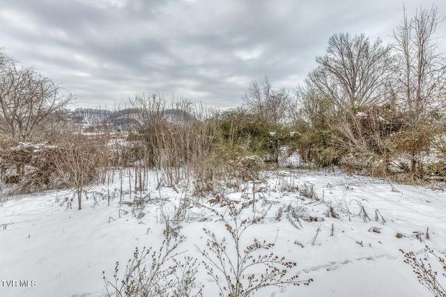 1305 Saint Louis Street, Johnson City, TN 37601