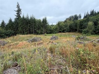 191 Northridge Road, Longview, WA 98632