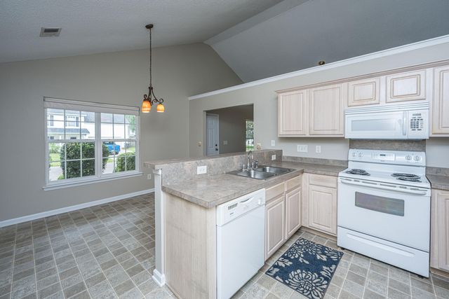 252 Trickle Drive, Summerville, SC 29483