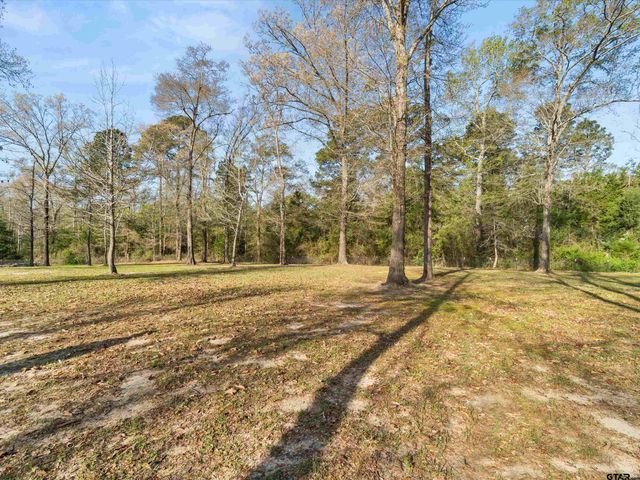 136 W Basil Dr., Diana, TX 75640