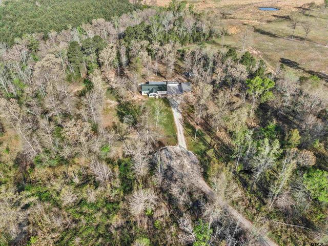 136 W Basil Dr., Diana, TX 75640