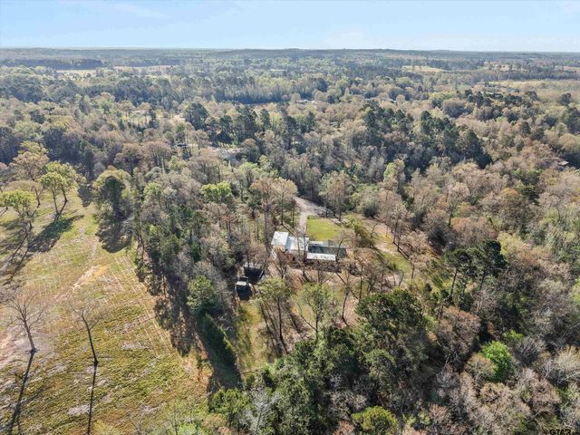 136 W Basil Dr., Diana, TX 75640