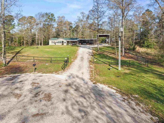 136 W Basil Dr., Diana, TX 75640