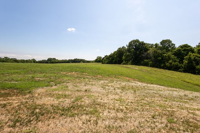 2468 Horn Springs, Lebanon, TN 37087