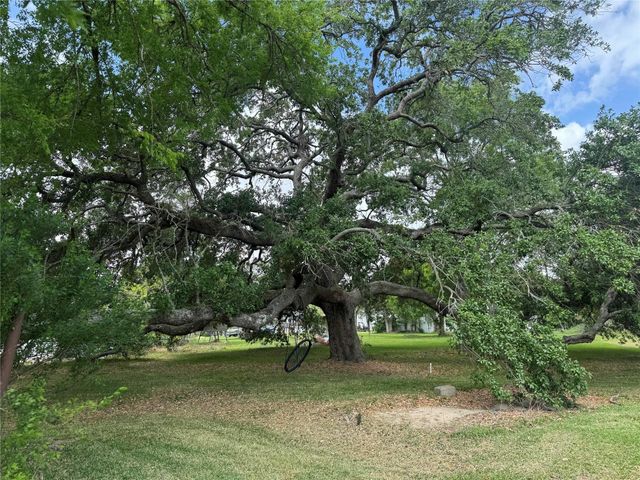 27 Cotton Bayou Circle, Cove, TX 77523