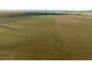 0 Se Upper Island Rd, Dayton, OR 97114