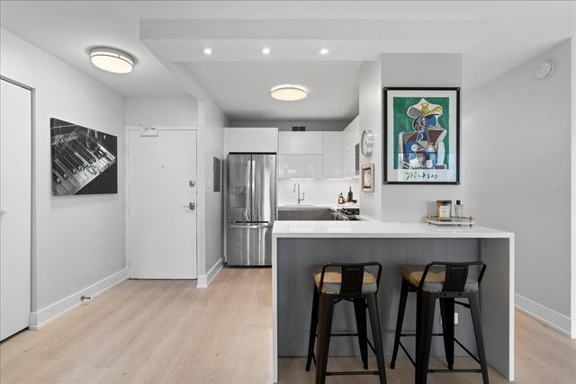 247 E Chestnut Street 802, Chicago, IL 60611