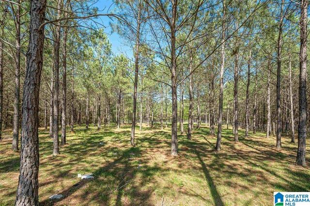 1150 CAMP CREEK ROAD, Cropwell, AL 35054
