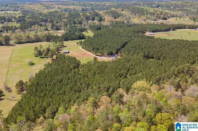 1150 CAMP CREEK ROAD, Cropwell, AL 35054