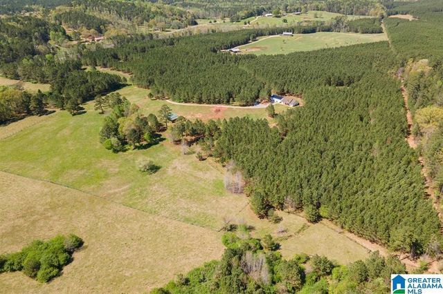 1150 CAMP CREEK ROAD, Cropwell, AL 35054