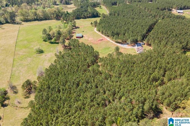 1150 CAMP CREEK ROAD, Cropwell, AL 35054