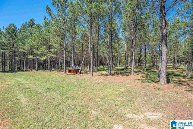 1150 CAMP CREEK ROAD, Cropwell, AL 35054