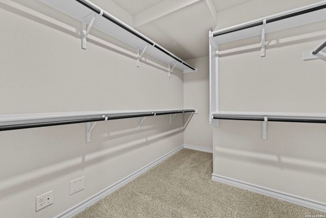 199 Squacco Heron, San Antonio, TX 78253