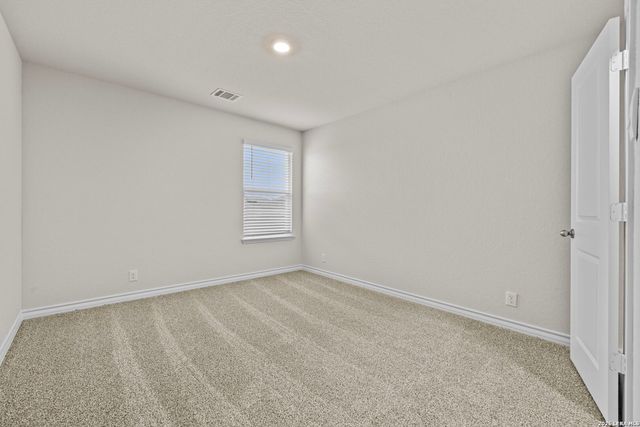 199 Squacco Heron, San Antonio, TX 78253